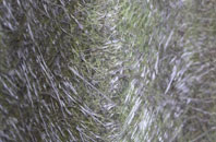 Torsonce Mains fibreglass roof work